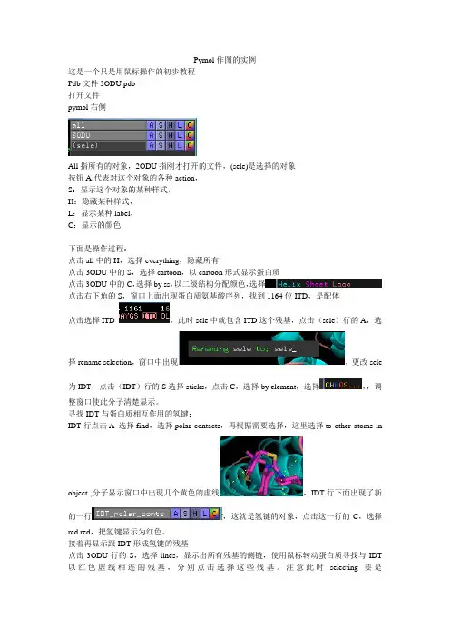 pymol作图的一个实例