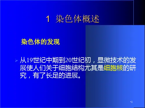 染色体和基因PPT幻灯片