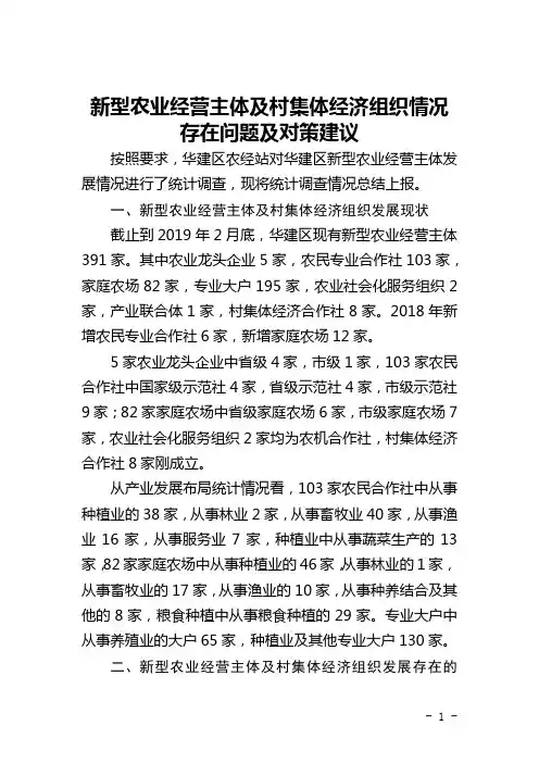新型农业经营主体及村集体经济组织情况存在问题及对策建议