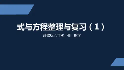 苏教版 小学数学 六年级 下册 式与方程整理与复习1 PPT课件