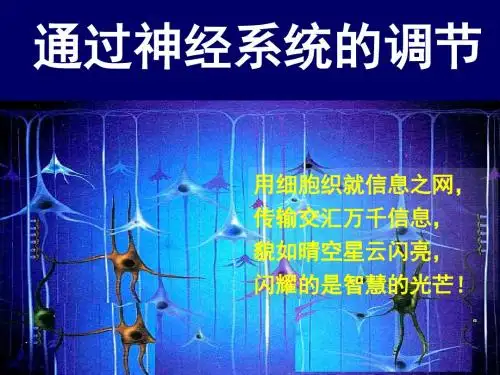 人教版高中生物必修三 课件2.1 通过神经系统的调节(共50张PPT)