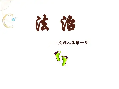 法治宣传———走好人生第一步(主题班会课件)