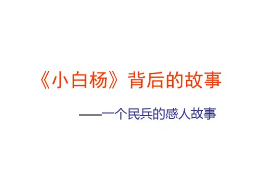 《小白杨》背后的故事