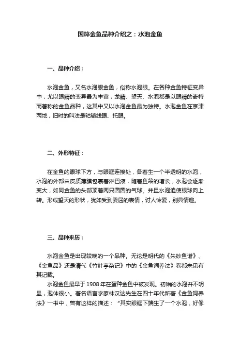 国粹金鱼品种介绍之：水泡金鱼