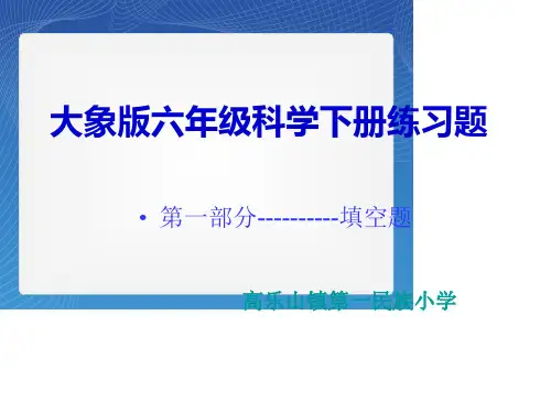大象版六年级科学下册综合复习填空部分精品PPT课件