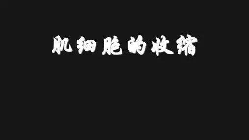 《细胞生理学》肌细胞的收缩