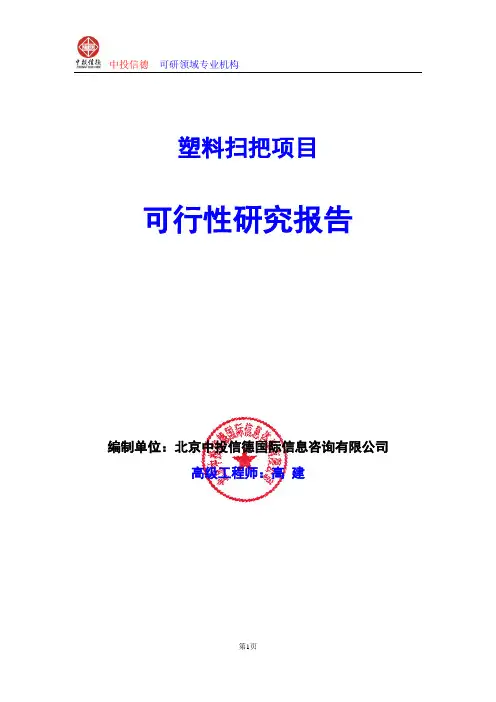 塑料扫把项目可行性研究报告编写格式及参考(模板word)