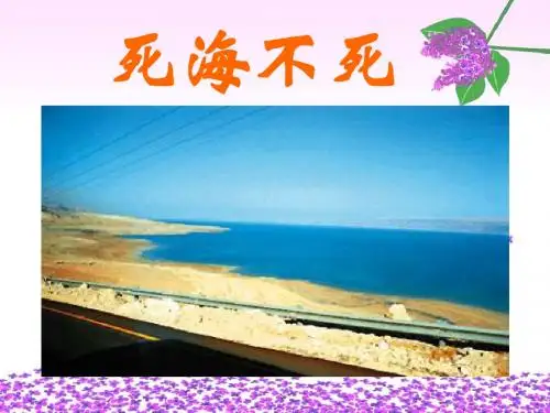 第十九课  死海不死1-2
