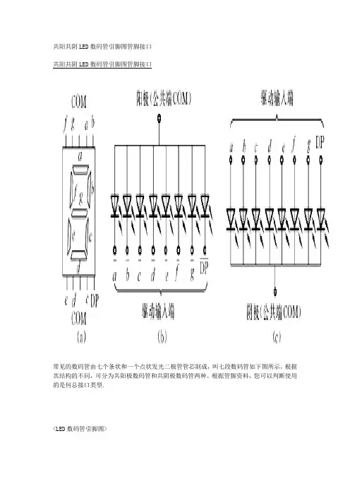 数码管的接线及显示(程序)