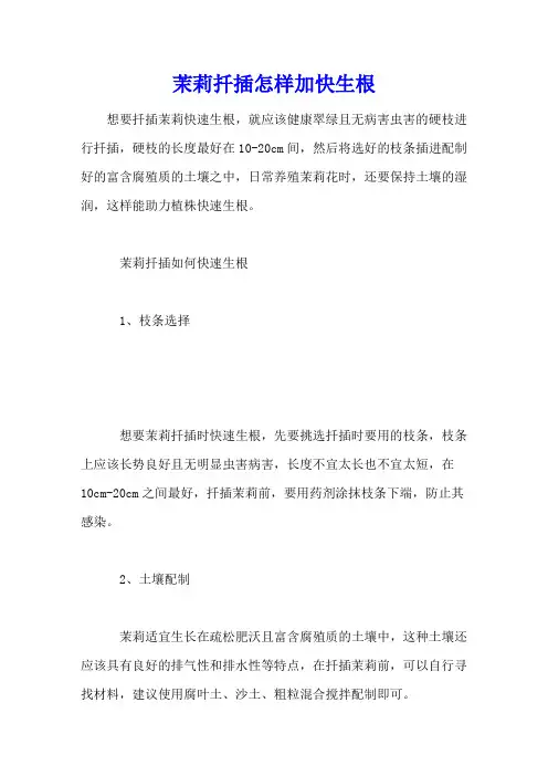 茉莉扦插怎样加快生根