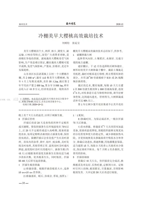 冷棚美早大樱桃高效栽培技术