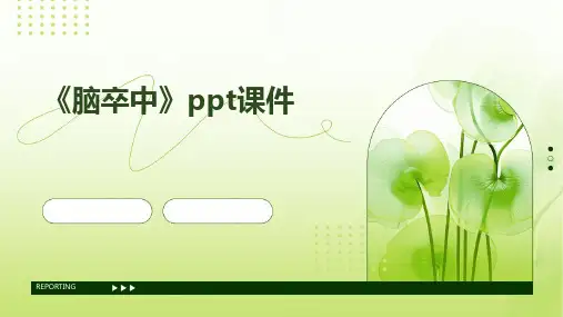 2024版《脑卒中》ppt课件
