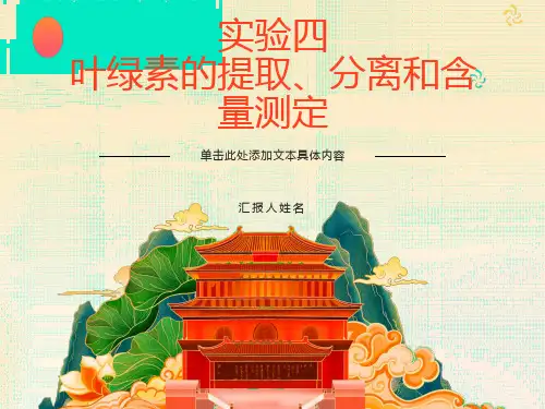 叶绿素的提取、分离和测定