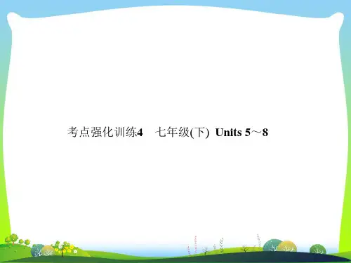 2021年中考英语复习考点强化训练4七下Units5_8练本课件