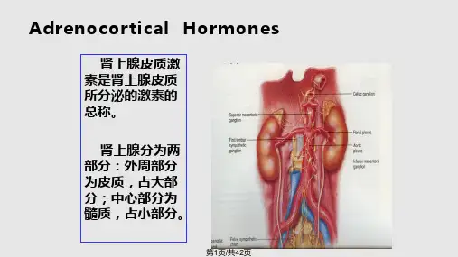 药理学——糖皮质激素PPT课件