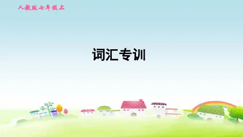 新人教版七年级英语上册 专项训练 词汇专训