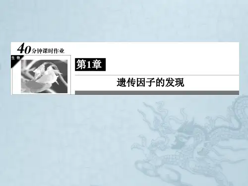高一生物人教版必修二40分钟课时作业 1-2 孟德尔的豌豆杂交实验2