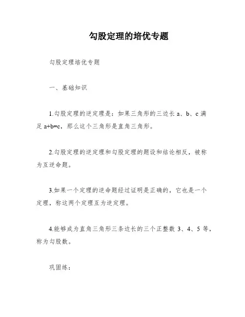 勾股定理的培优专题