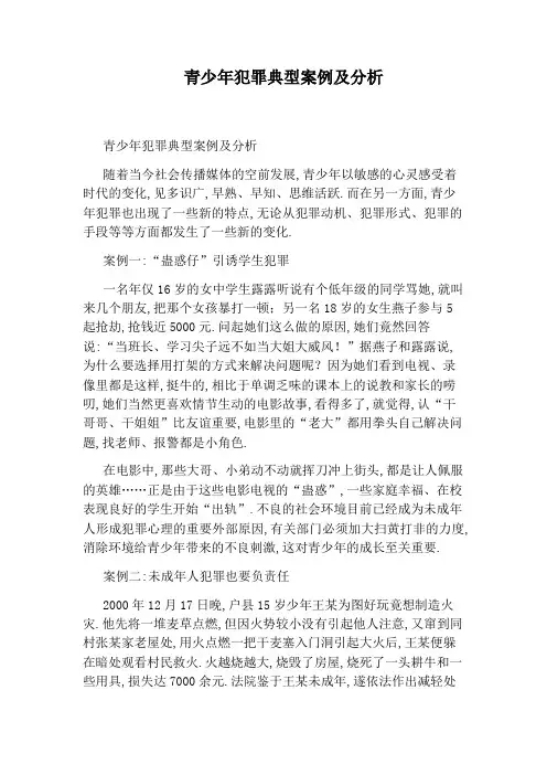 青少年犯罪典型案例及分析