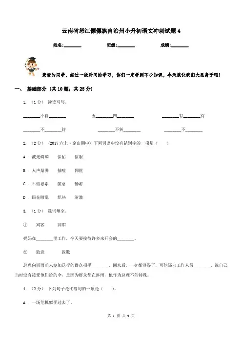 云南省怒江傈僳族自治州小升初语文冲刺试题4