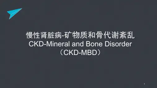 继发性甲旁亢分析PPT课件