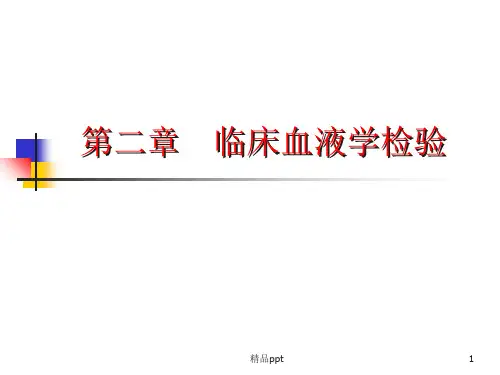 白细胞ppt课件