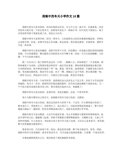 我眼中的冬天小学作文10篇