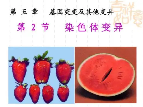 人教版教学课件第 五 章 基因突变及其他变异 第 2 节 染 色 体 变 异 (共52张PPT)