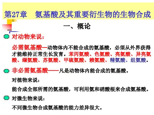 第27章--氨基酸及其重要衍生物的生物合成