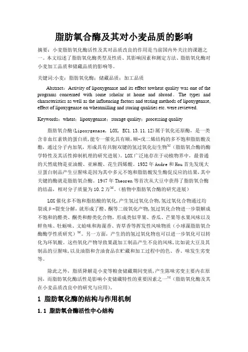 脂肪氧合酶及其对小麦品质的影响