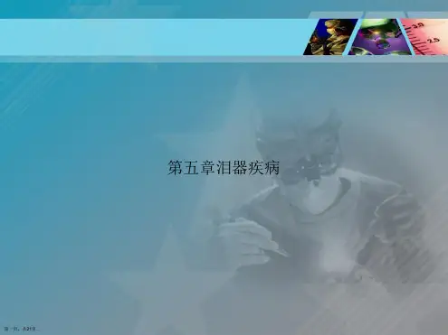 第五章泪器疾病2讲课文档