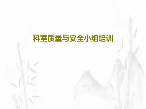 科室质量与安全小组培训29页PPT