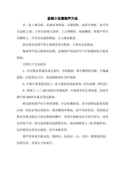 盆栽小亚腰葫芦方法