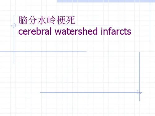 脑分水岭梗死