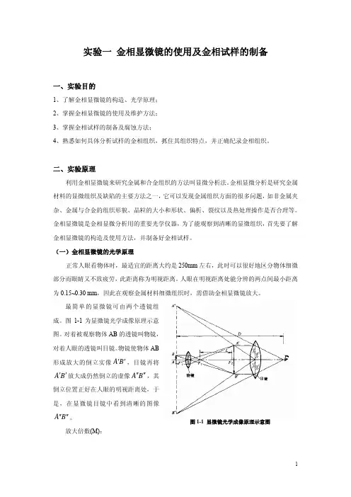实验一 金相显微镜的使用及金相试样的制备