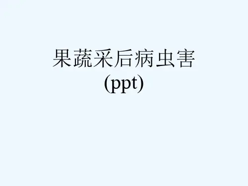 果蔬采后病虫害(ppt)