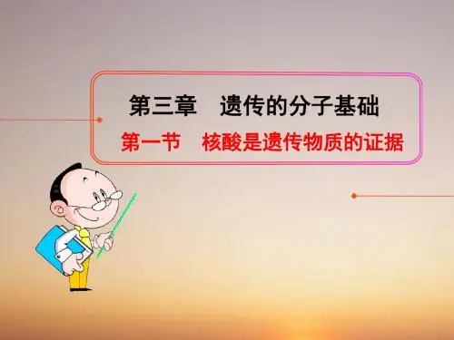 浙科版高中生物必修二核酸是遗传物质的证据名师公开课优质课件(32张)