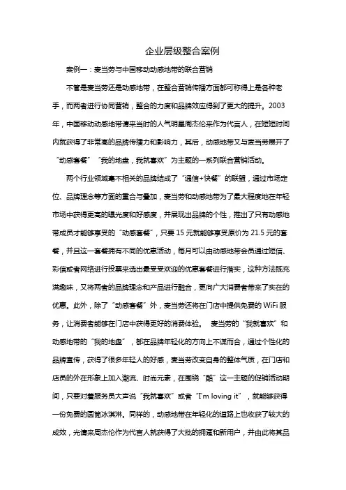 企业层级整合案例