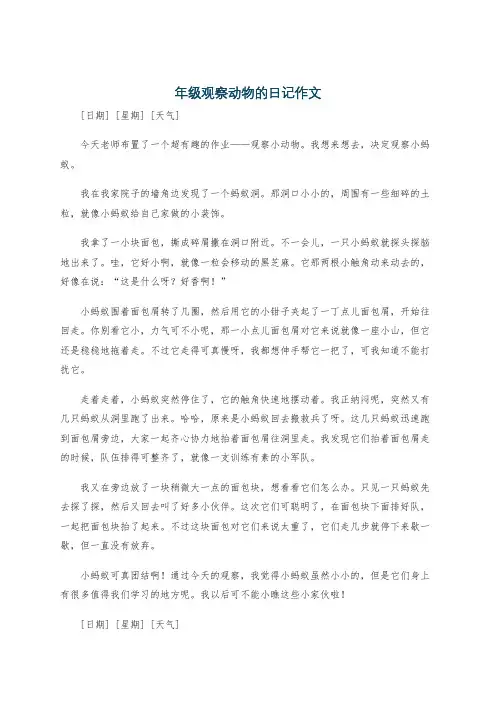 年级观察动物的日记作文