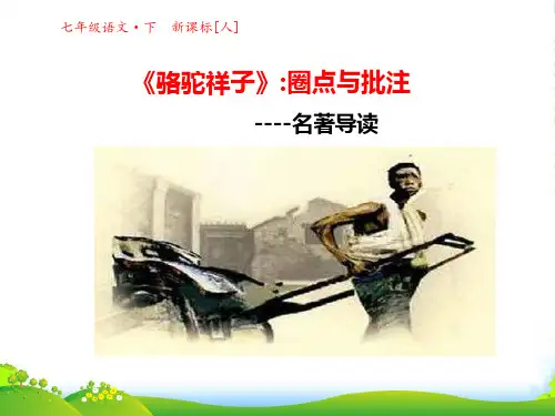 名著导读《骆驼祥子》圈点与批注ppt课件