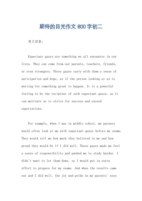 期待的目光作文800字初二