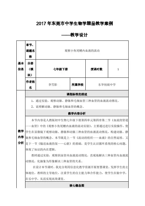 生物人教版七年级下册观察小鱼尾鳍内血液的流动实验