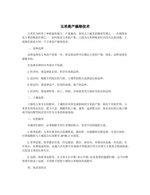 玉米高产栽培技术