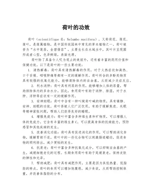 荷叶的功效