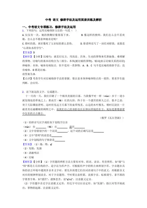 中考 语文 修辞手法及运用阅读训练及解析