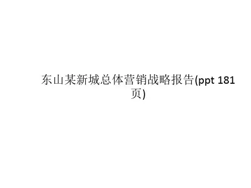 东山某新城总体营销战略报告(ppt 181页)