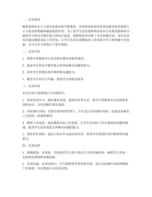 执模实训小结及总结报告