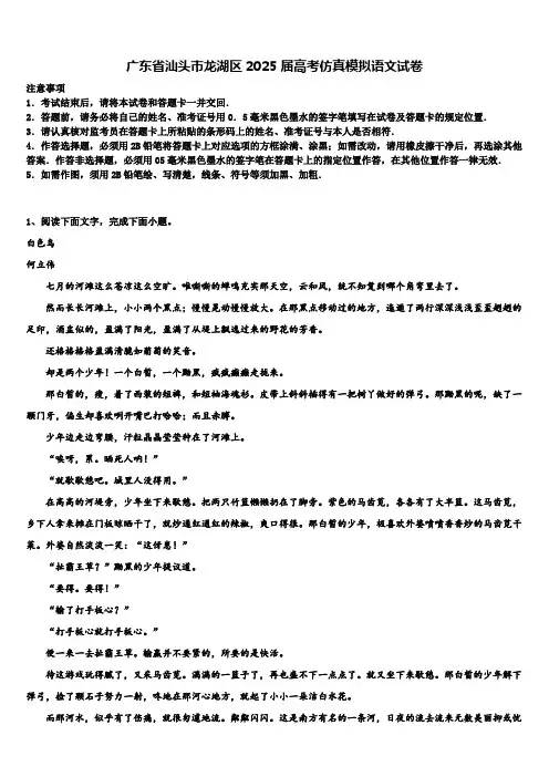 广东省汕头市龙湖区2025届高考仿真模拟语文试卷含解析