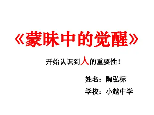 蒙昧中的觉醒 27页