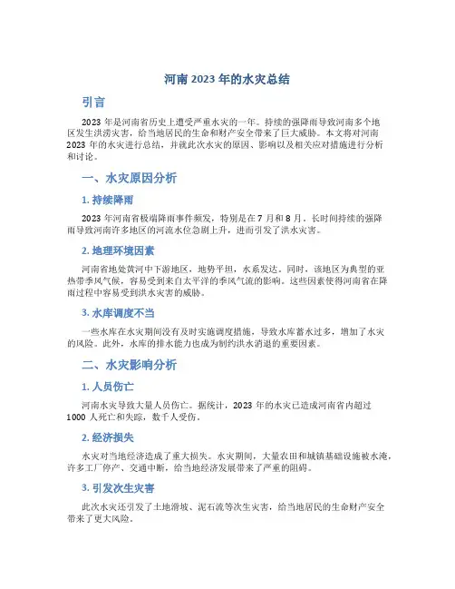 河南2023年的水灾总结